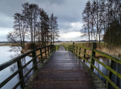  Nature Pont sur rivière