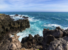  Nature Au bord de la mer