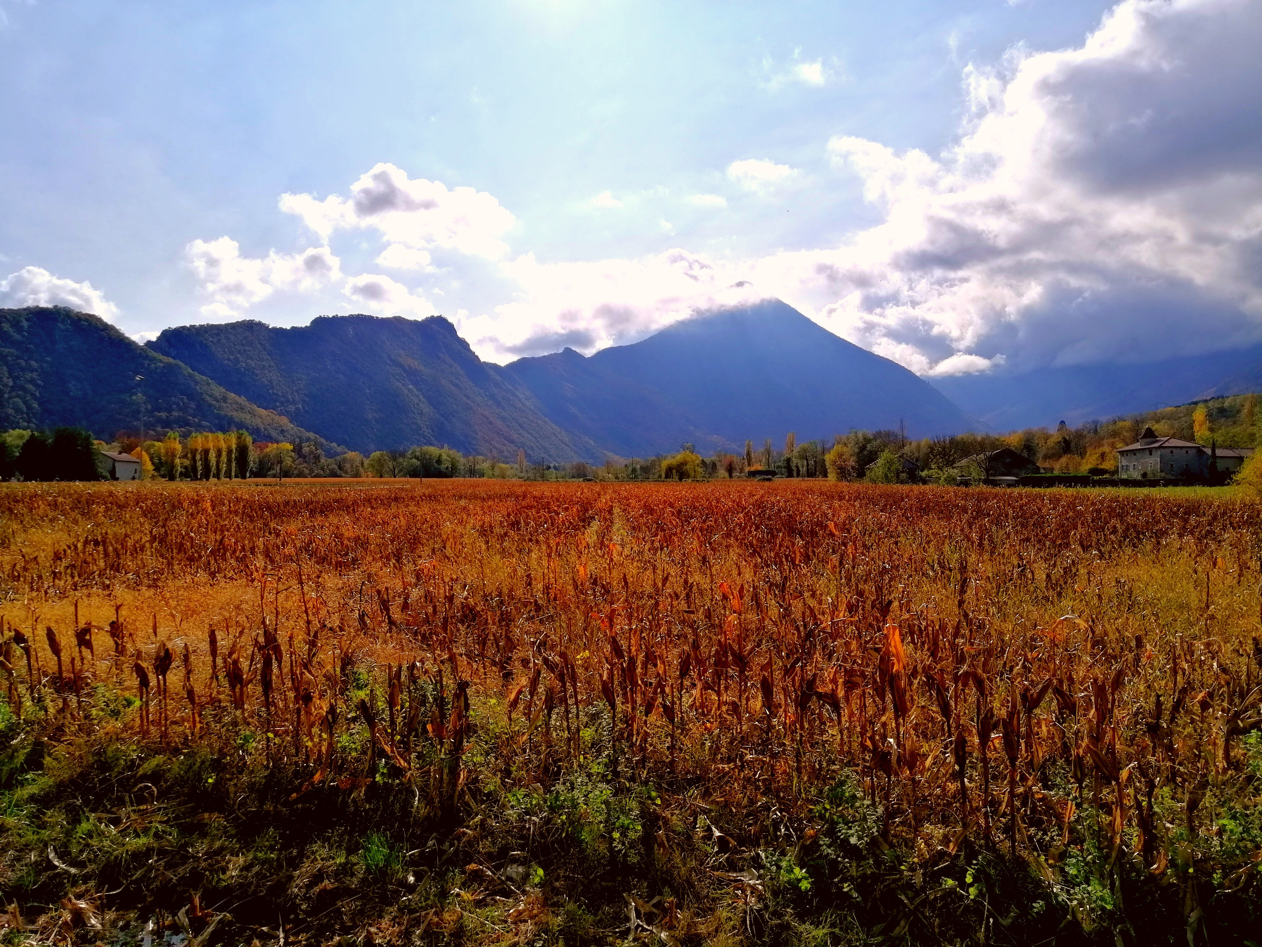 Wallpapers Nature Mountains Champ et montagne