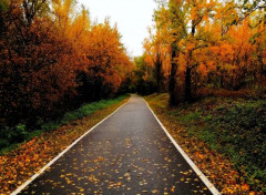  Nature Route d'automne