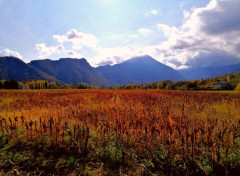  Nature Champ et montagne