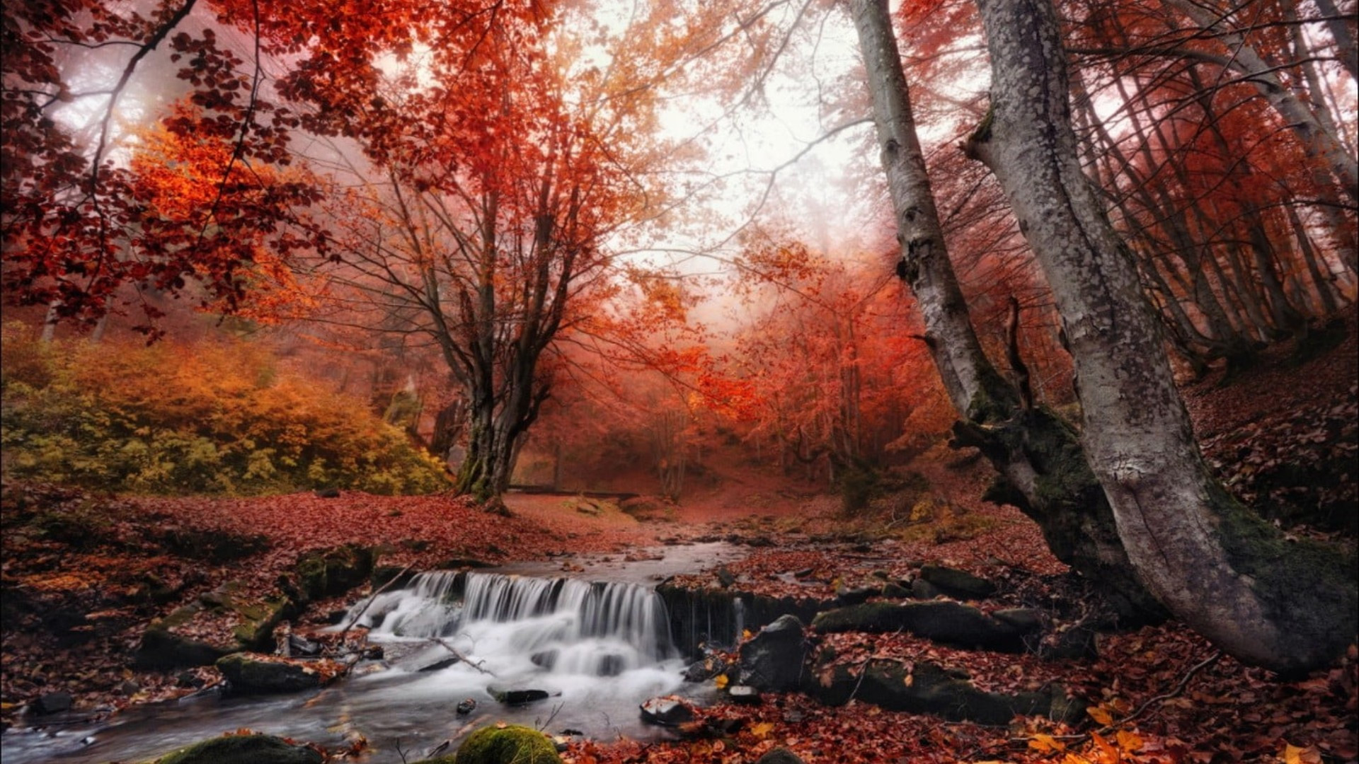 Fonds d'cran Nature Cascades - Chutes 