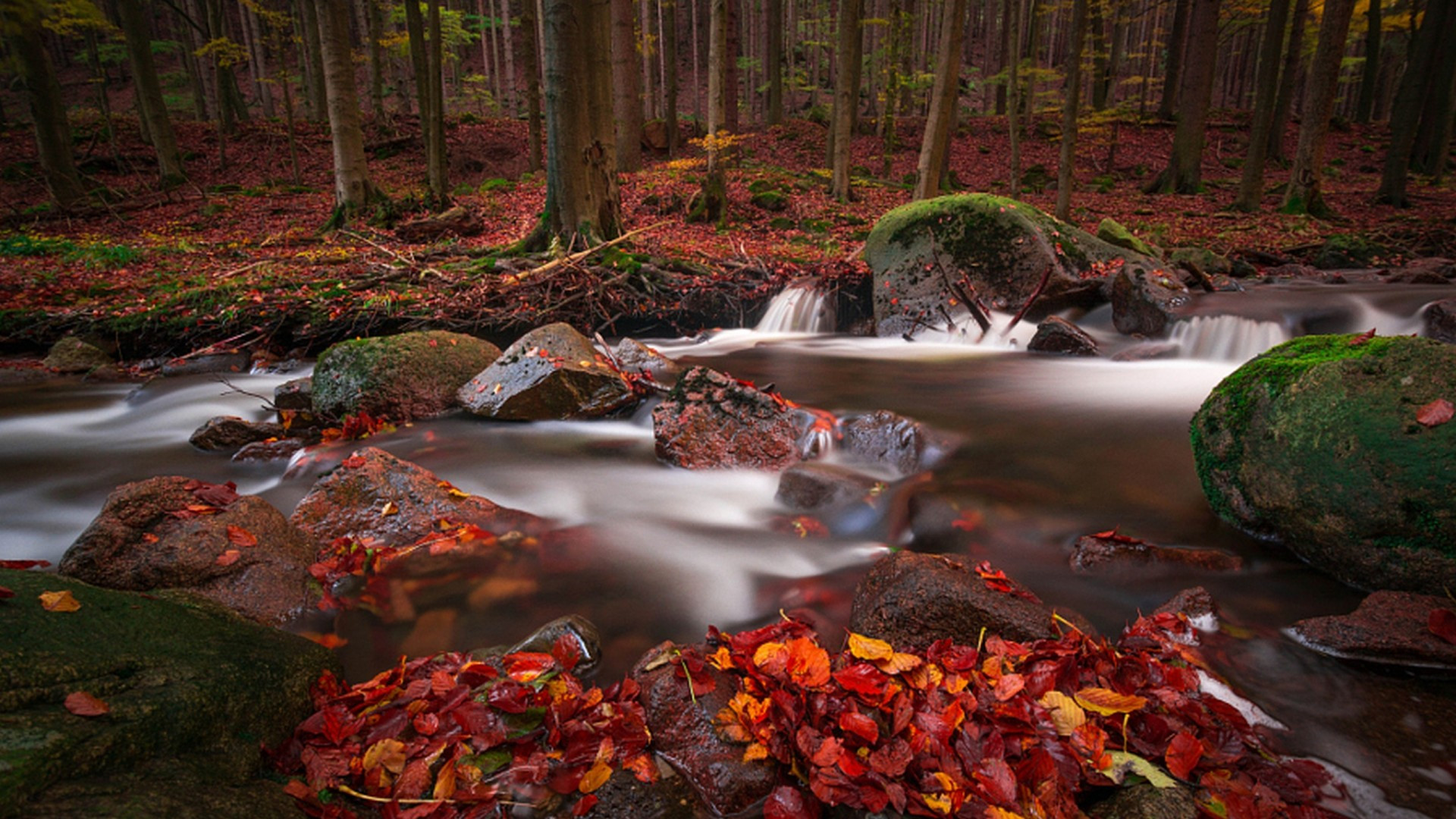 Fonds d'cran Nature Fleuves - Rivires - Torrents 