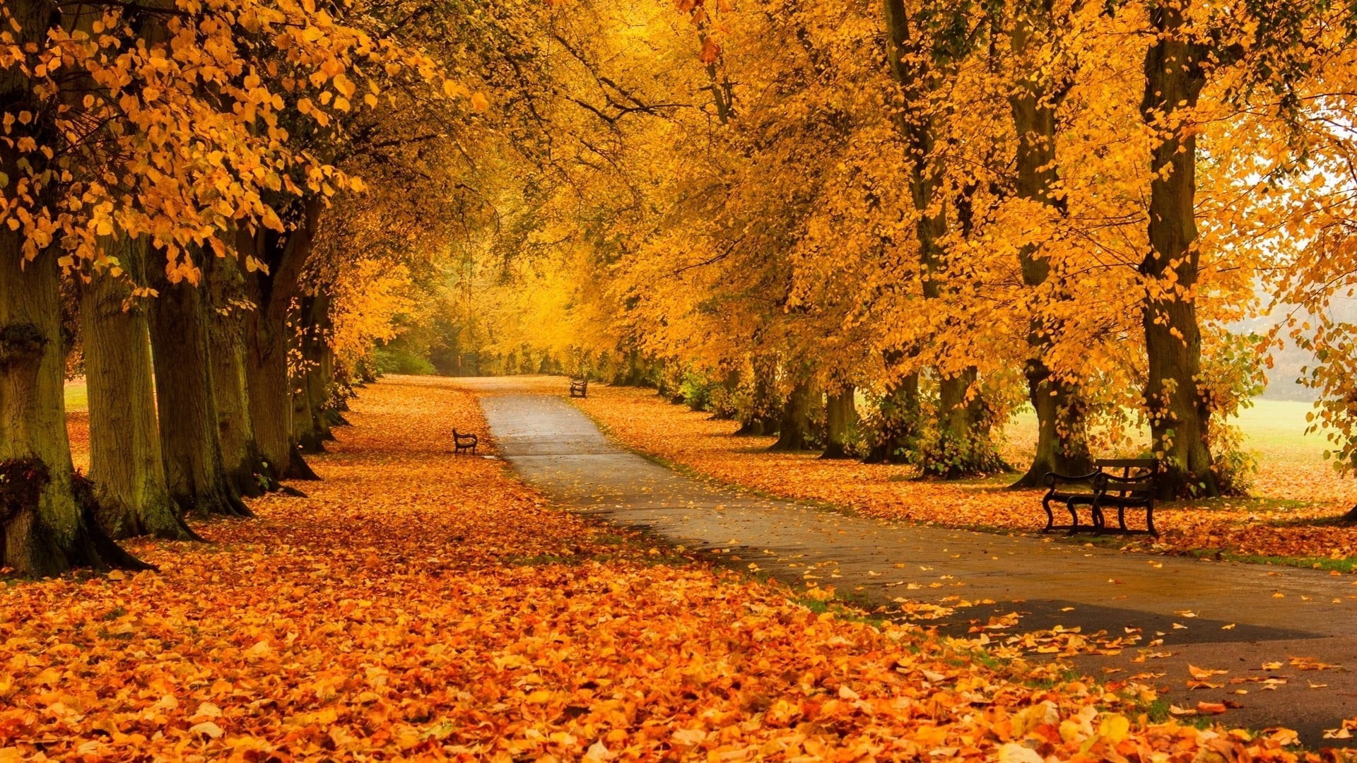 Wallpapers Nature Seasons - Fall 