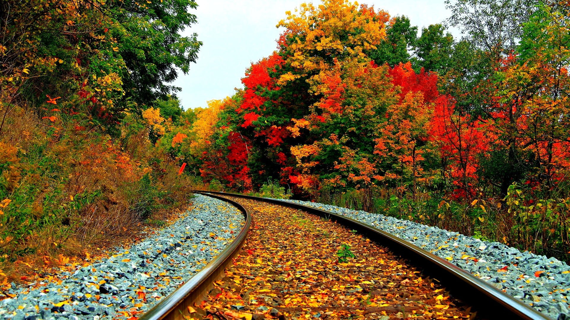 Fonds d'cran Nature Saisons - Automne 