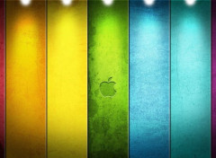  Informatique Apple 03