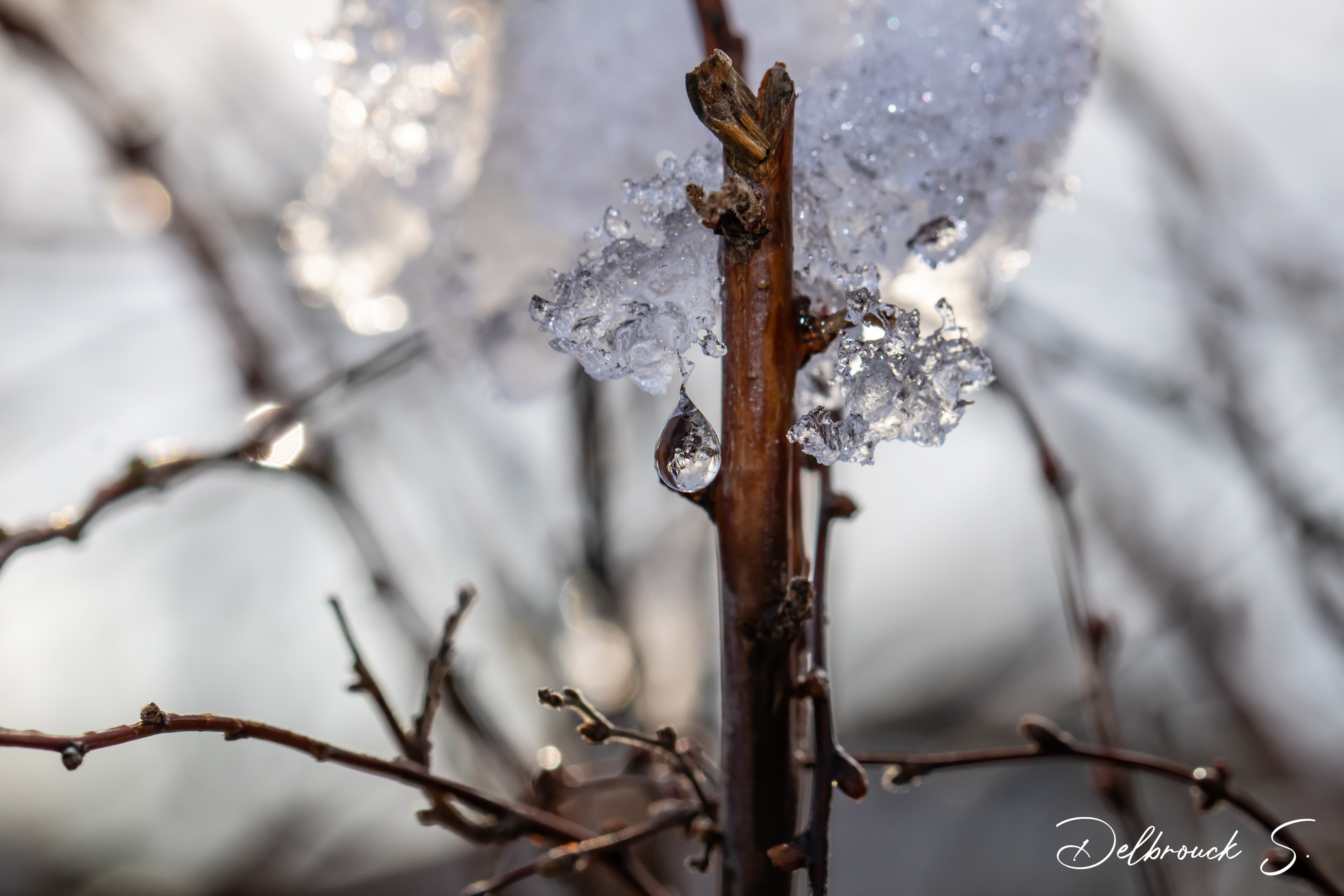 Fonds d'cran Nature Saisons - Hiver Nature winter