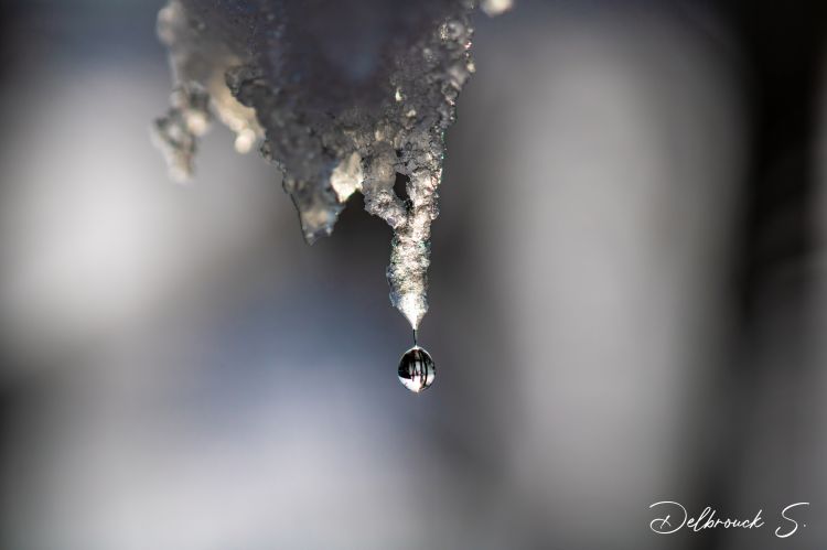 Wallpapers Nature Water - Drops Entre eau et glace