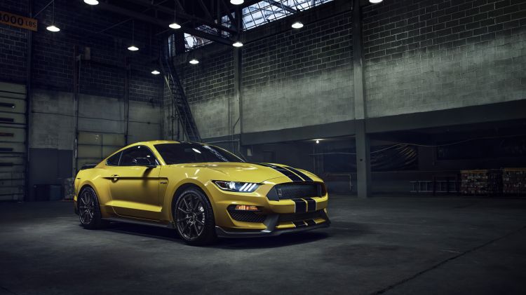 Wallpapers Cars Mustang Wallpaper N482077