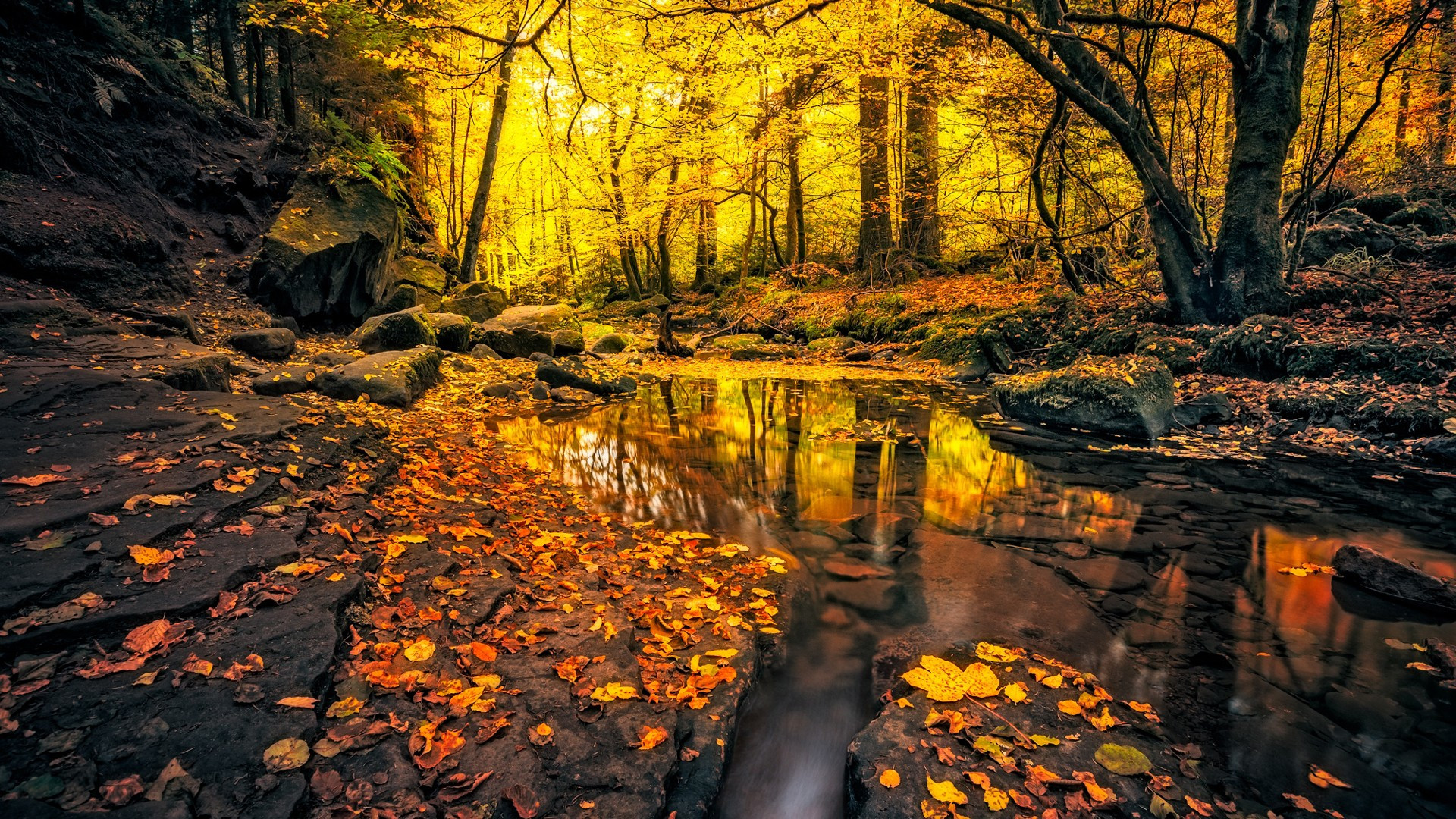 Fonds d'cran Nature Eau - Reflets 