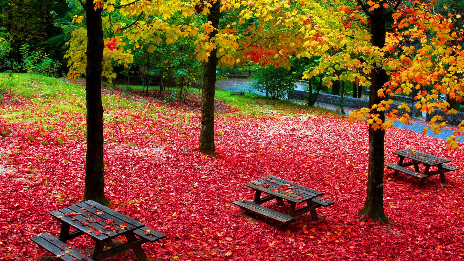 Fonds d'cran Nature Saisons - Automne 