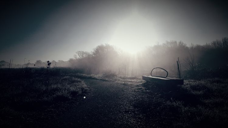 Fonds d'cran Nature Campagne brume parc naturel du Plan, La Garde 83