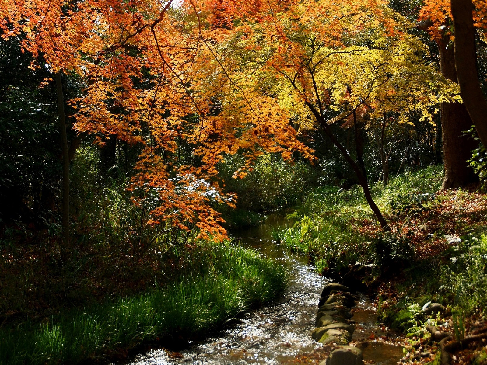 Fonds d'cran Nature Fleuves - Rivires - Torrents Et l'eau coule, tranquille ...