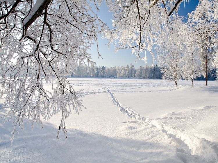 Fonds d'cran Nature Saisons - Hiver Suivons la trace ...