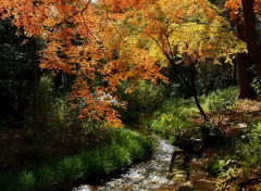  Nature Et l'eau coule, tranquille ...