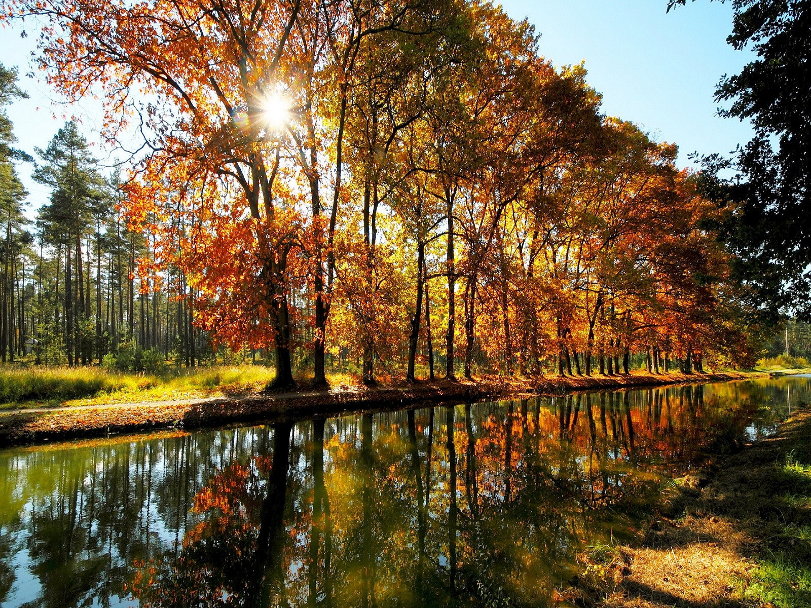 Fonds d'cran Nature Saisons - Automne Bords du canal en automne