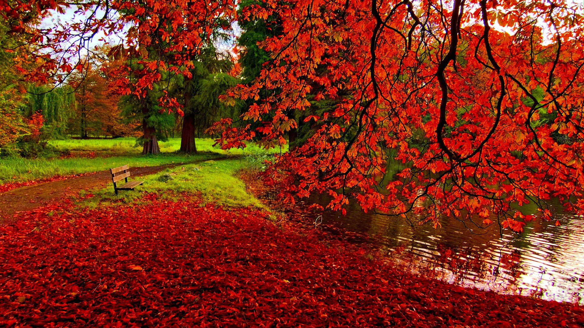 Fonds d'cran Nature Parcs - Jardins 