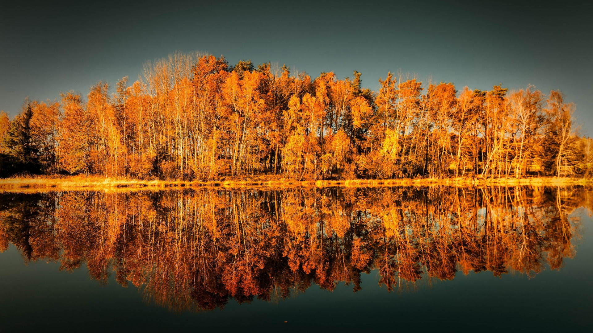 Fonds d'cran Nature Eau - Reflets 