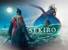  Jeux Vido Sekiro vs Genichiro