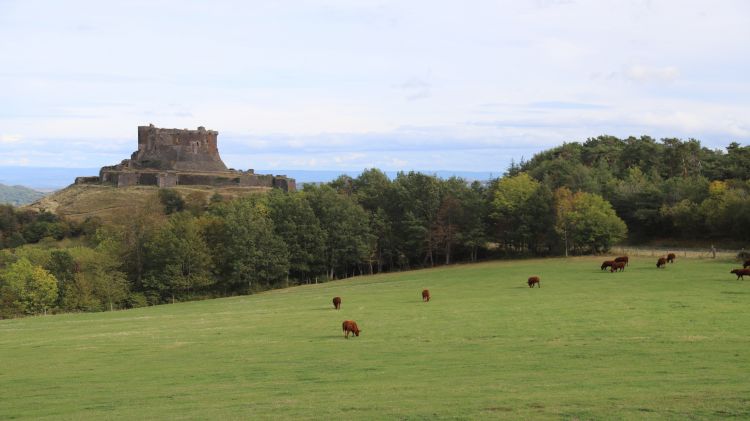 Fonds d'cran Constructions et architecture Chteaux - Palais Fort Murol