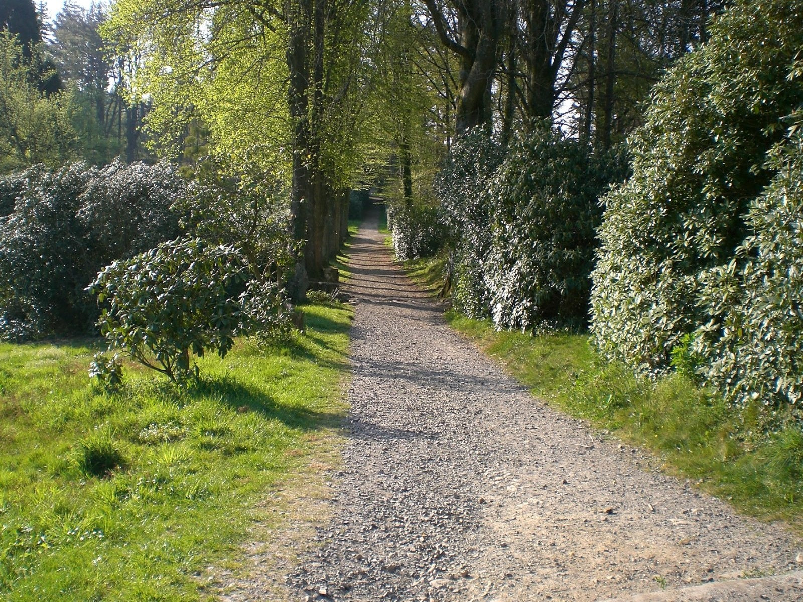 Fonds d'cran Nature Chemins Une promenade au Parc de Cerisy-Belle-Etoile