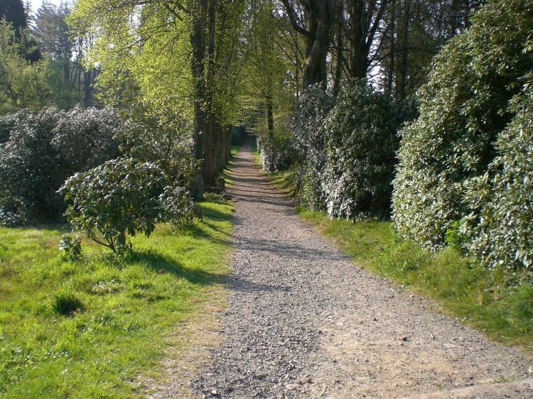 Fonds d'cran Nature Chemins Une promenade au Parc de Cerisy-Belle-Etoile