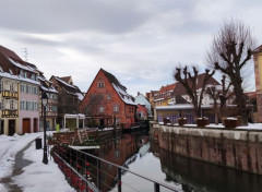  Nature Colmar sous la neige