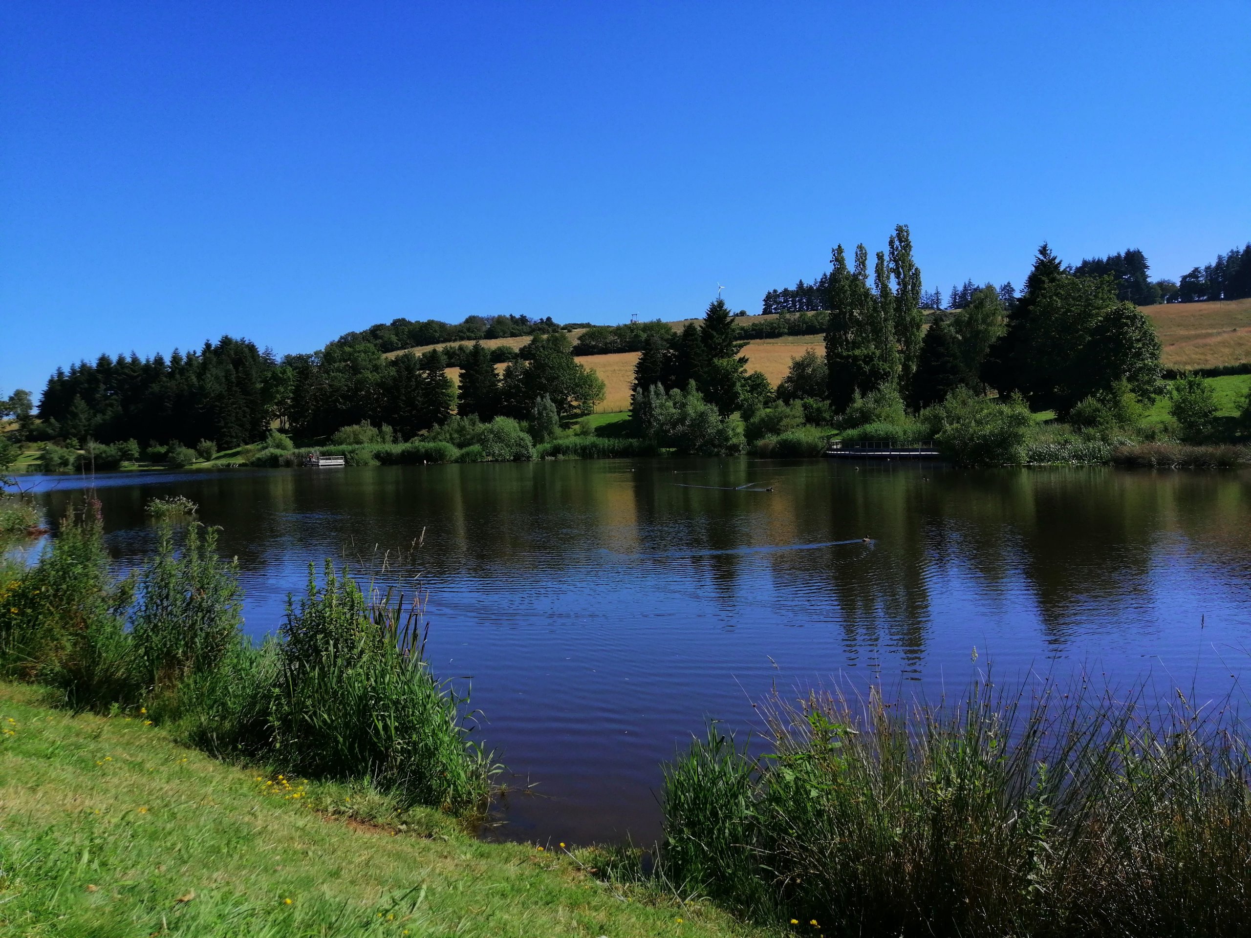 Wallpapers Nature Lakes - Ponds Etang Lyonnais