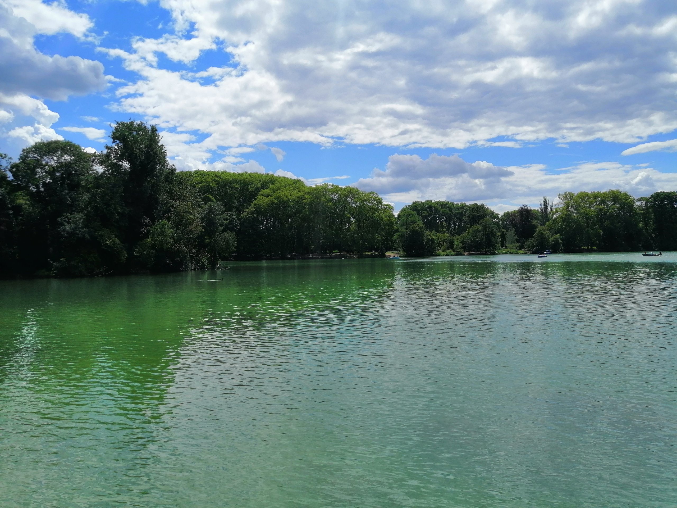 Wallpapers Nature Lakes - Ponds Etang du parc de la tête d'Or