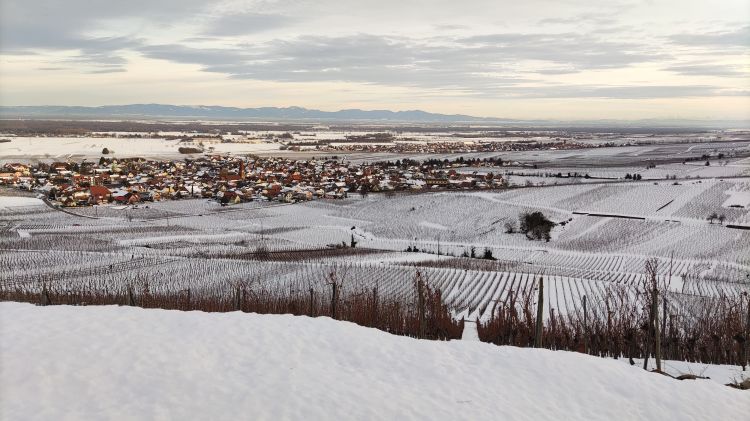 Wallpapers Nature Saisons - Winter L'Alsace sous la neige