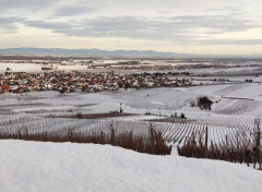  Nature L'Alsace sous la neige