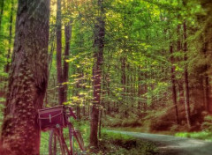  Nature Ballade en vélo