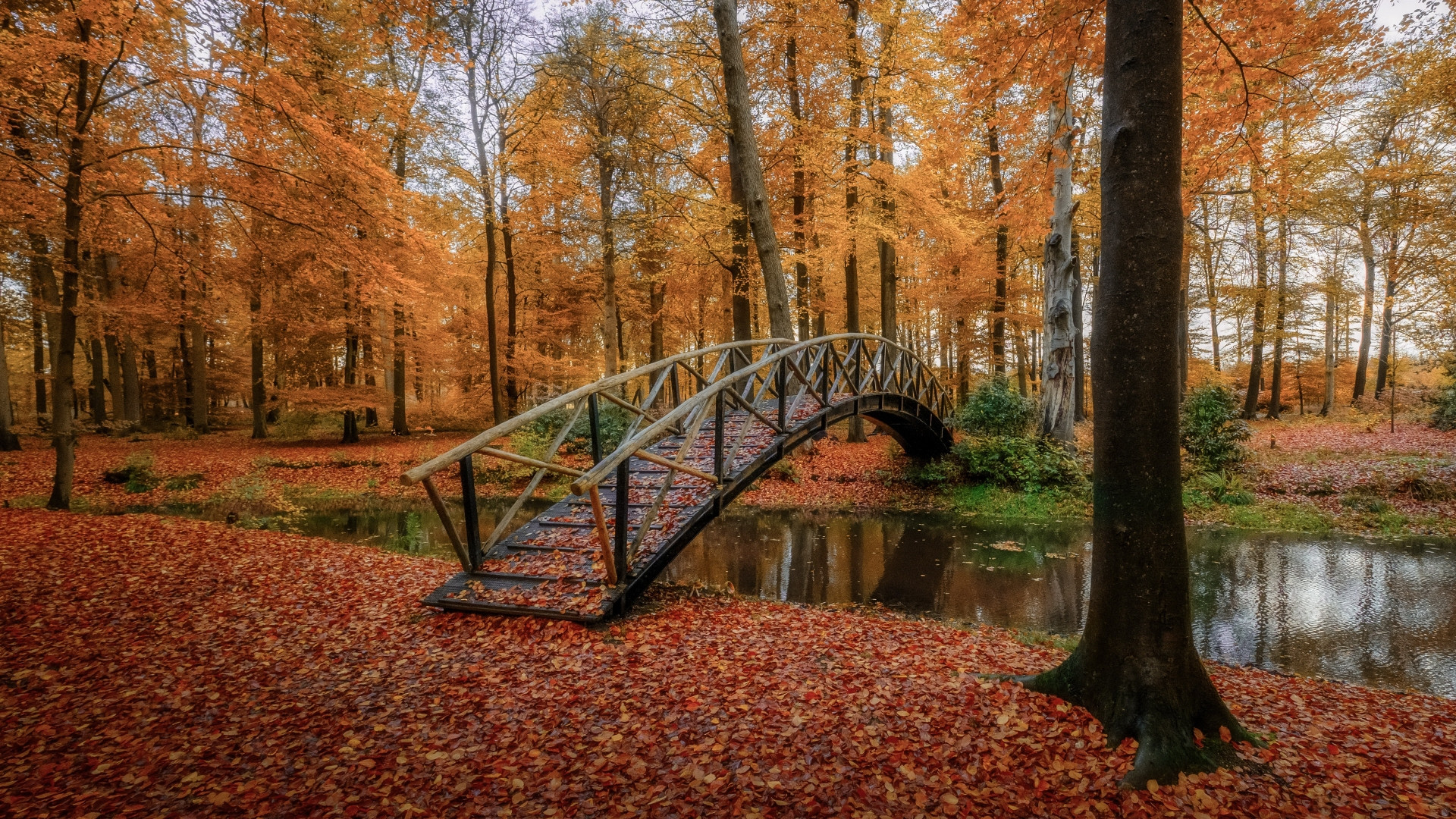 Fonds d'cran Nature Parcs - Jardins 