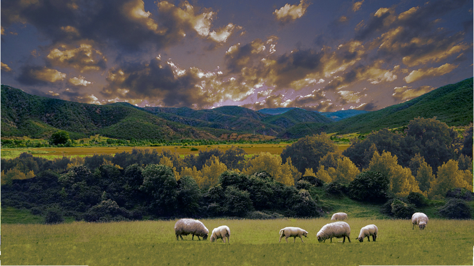 Fonds d'cran Art - Numrique Nature - Paysages 