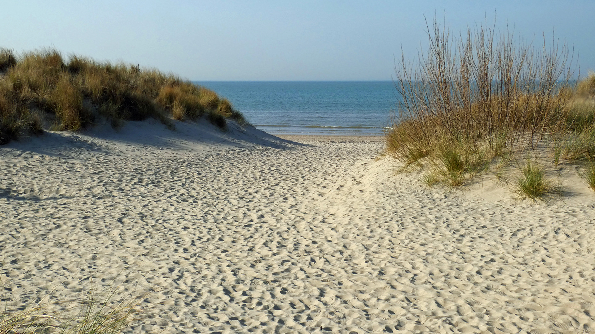 Wallpapers Nature Seas - Oceans - Beaches Les dunes du Westhoek (Belgique) aboutissent à la Mer du Nord