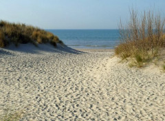  Nature Les dunes du Westhoek (Belgique) aboutissent à la Mer du Nord