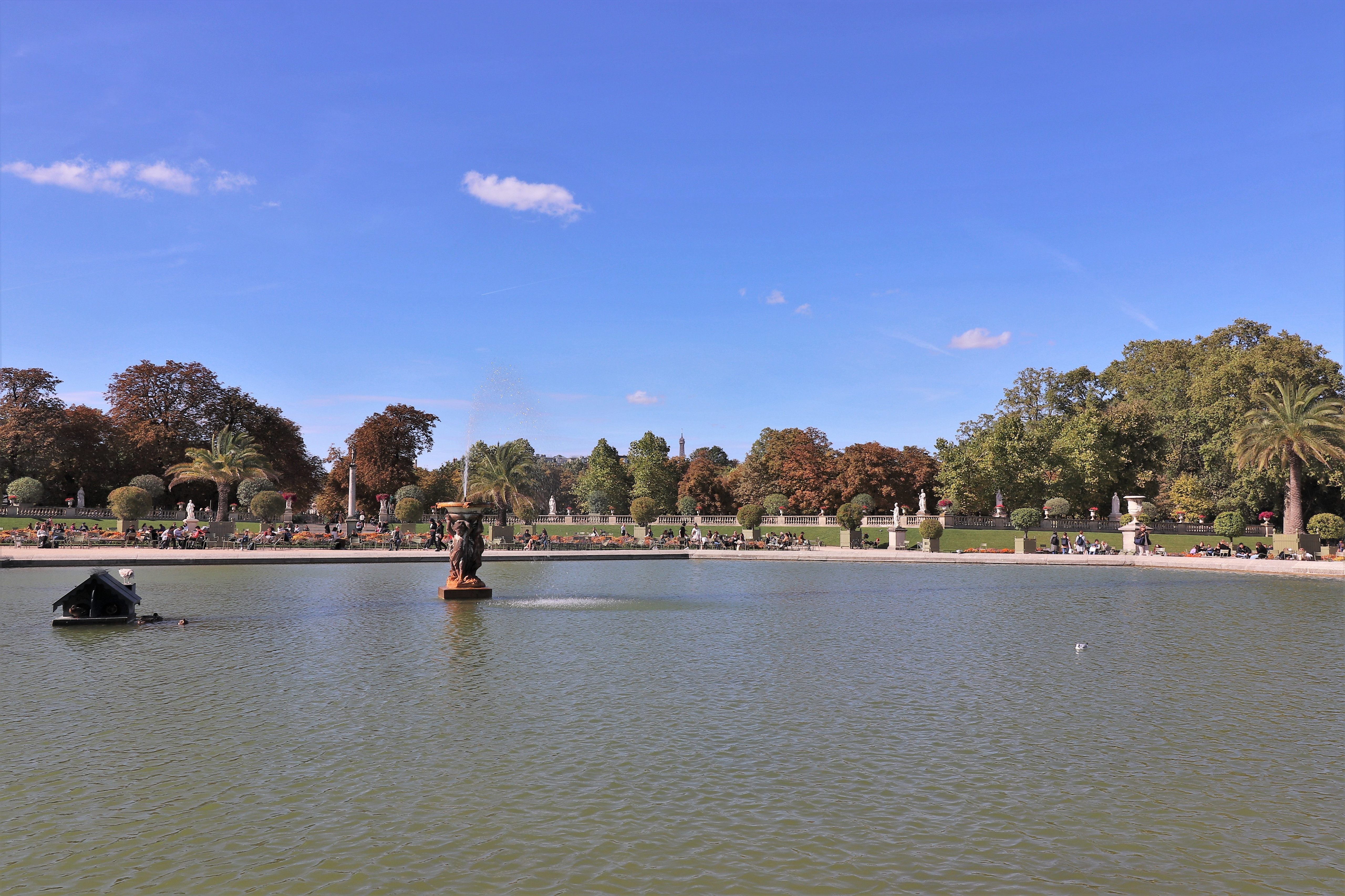 Fonds d'cran Nature Parcs - Jardins Jardin du Luxembourg