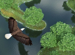  Digital Art Un aigle royal survolant un lac