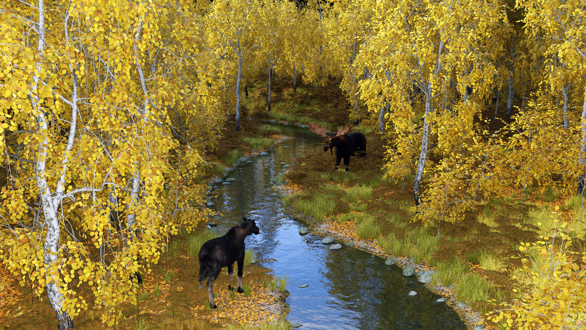 Wallpapers Digital Art Nature - 4 Seasons Scène automnale dans une forêt canadienne