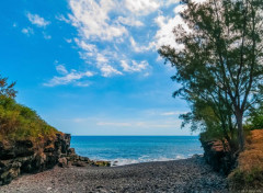  Nature Littoral