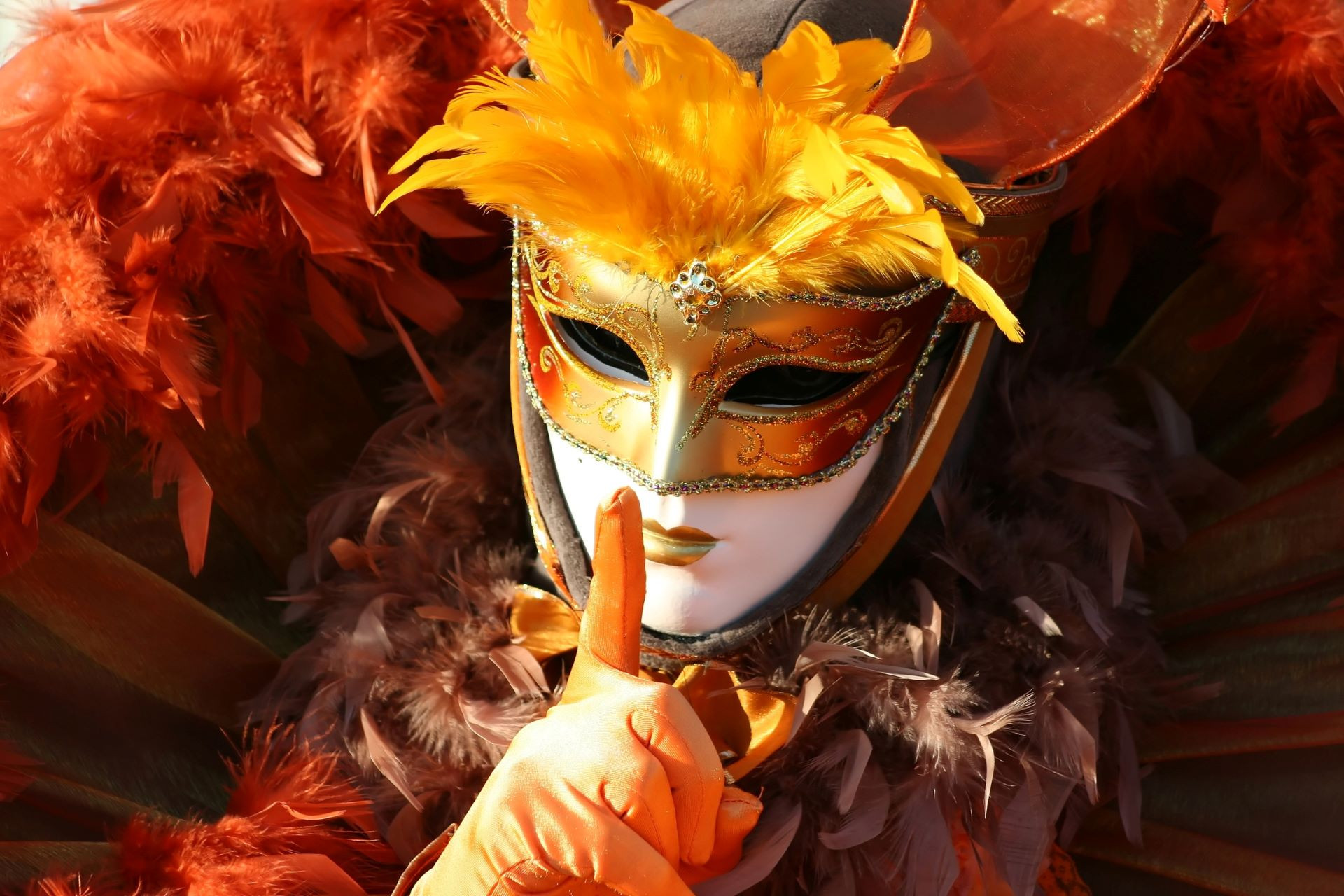 Wallpapers People - Events Carnivals - Outfits Carnaval