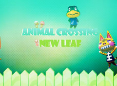  Jeux Vido Animal Crossing