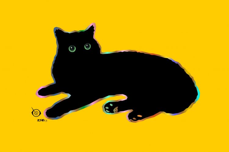 Fonds d'cran Art - Numrique Animaux Lying Black Cat