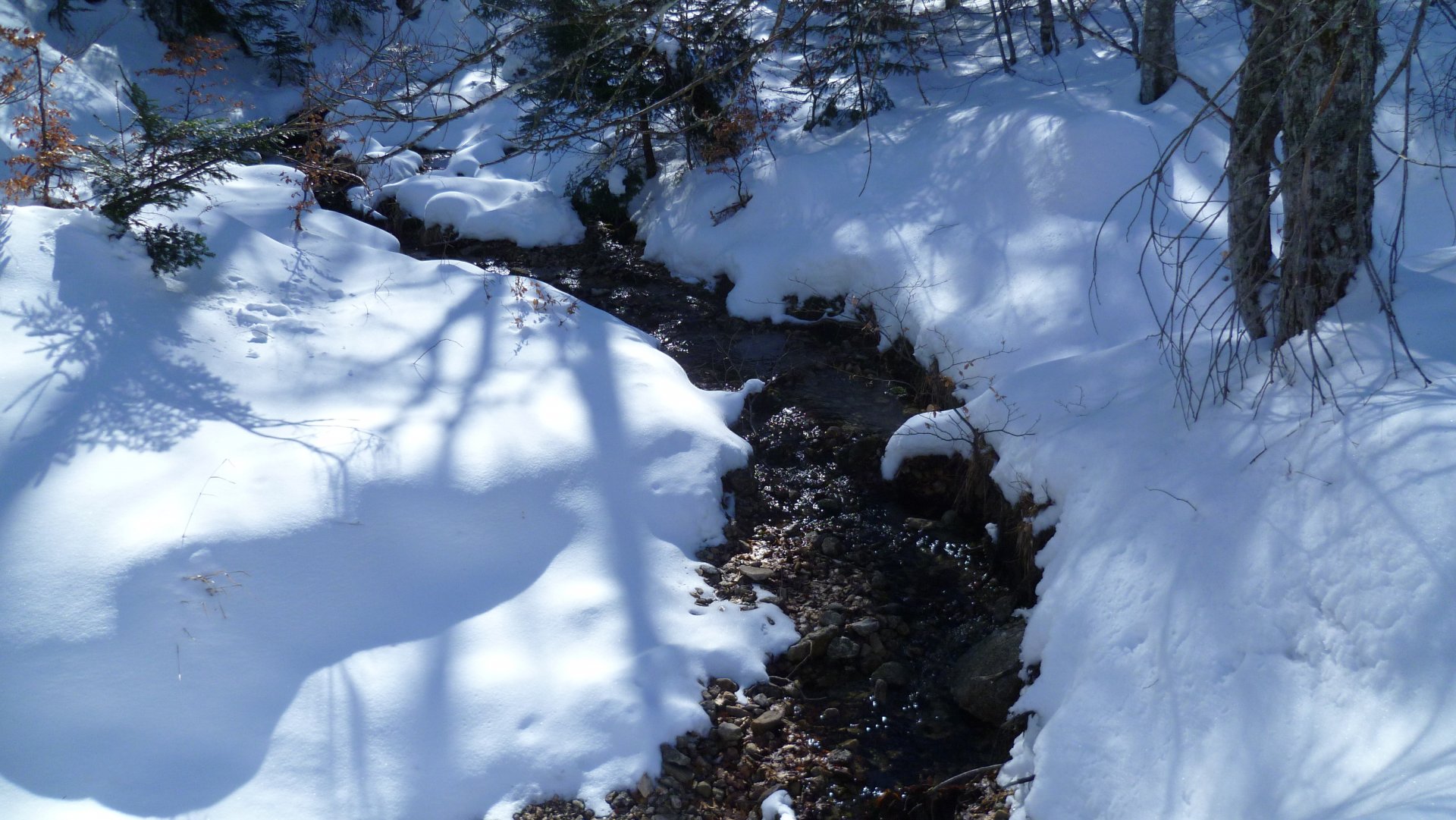 Fonds d'cran Nature Saisons - Hiver 