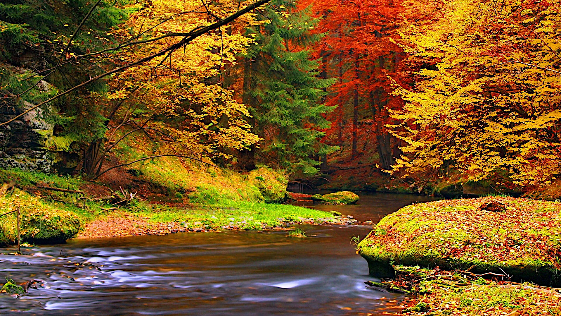 Fonds d'cran Nature Saisons - Automne 