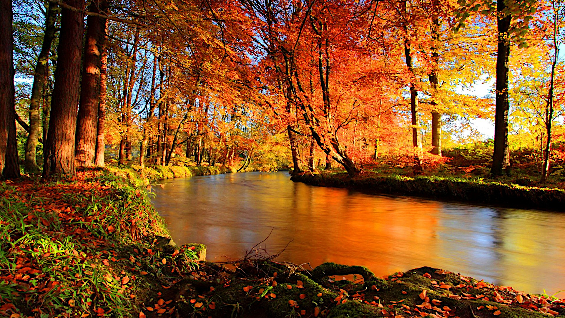 Fonds d'cran Nature Saisons - Automne 