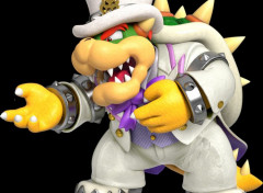  Jeux Vido Bowser maried