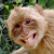 Avatar du membre monkey93