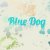 Avatar of bluedog